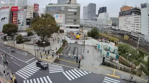 Shinjuku Crosswalk Live Cam – Tokyo, Japan