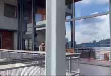 Walking New York City Livestream Webcam 24/7