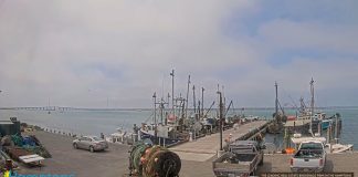 Shinnecock Fishing Dock Live Webcam Hampton Bays, New York