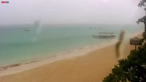 Coco La Palm Beach Live Webcam – Negril, Jamaica