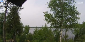 White Eagle Resort Live Webcam Cook, Mn