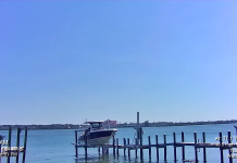 Siesta Key Webcam - Florida - Live Hd Video