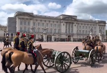 Buckingham Palace Webcam - London, England, Uk