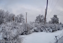 Cedar Ridge Webcam - Phoenix Reservoir, Ca