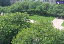 University Of Washington The Quad Live Webcam
