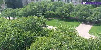 University Of Washington The Quad Live Webcam