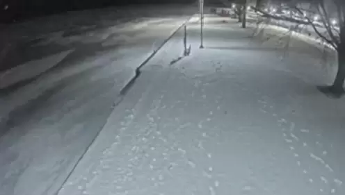 Live Webcam Brock House Island