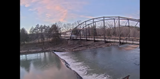 Arkansas Live Webcams