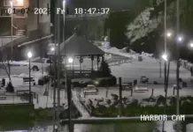 Connecticut Live Webcams - The Constitution State