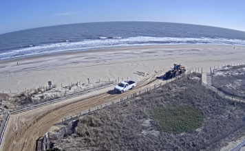Maryland Live Webcams - Free State