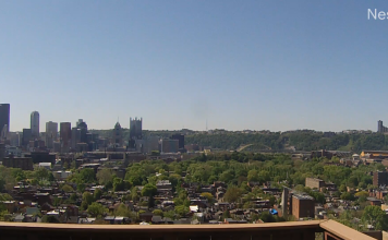 Pennsylvania Live Webcams Streaming In Hd | New