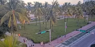 Miami Webcam - Florida | Vice City Real Time Live Videos