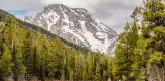 Wyoming Live Webcams