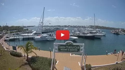 Green Turtle Club Resort Webcam In The Bahamas