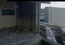 Indiana And Michigan Electricity Power Live Webcam
