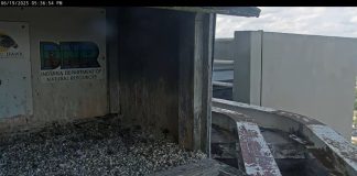 Indiana And Michigan Electricity Power Live Webcam