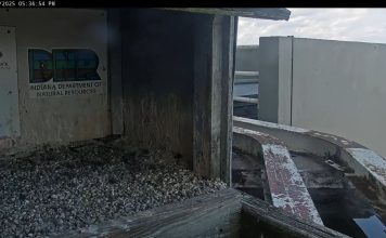 Indiana And Michigan Electricity Power Live Webcam