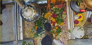 Kashi Vishwanath Temple Live Webcam, Varanasi, India