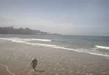 The Marine Room Live Webcam Dining On The Beach