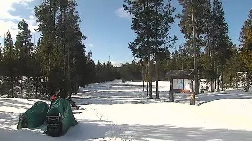 Rendezvous Ski Trail Live Webcam – West Yellowstone