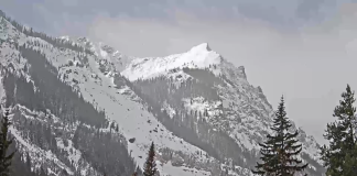 Cooke City, Montana Live Webcam | Hd Video