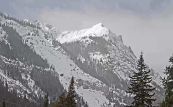 Cooke City, Montana Live Webcam | Hd Video