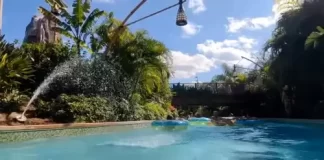 Disneyland Paris Webcam