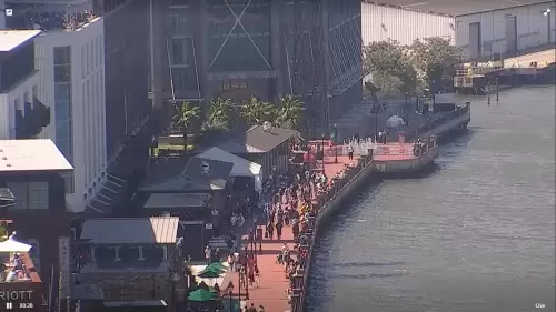 Hyatt Savannah River Live Webcam – Georgia | Live Video