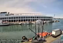 Boston Fish Pier Live Webcam