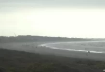 Kiawah Island Resort Charleston, Sc Live Webcam