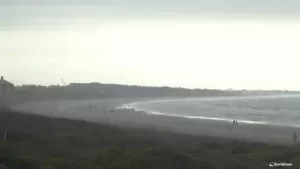 Kiawah Island Resort Charleston, Sc Live Webcam