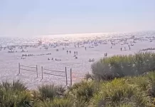 Lido Key Beach Resort, Florida Live Webcam