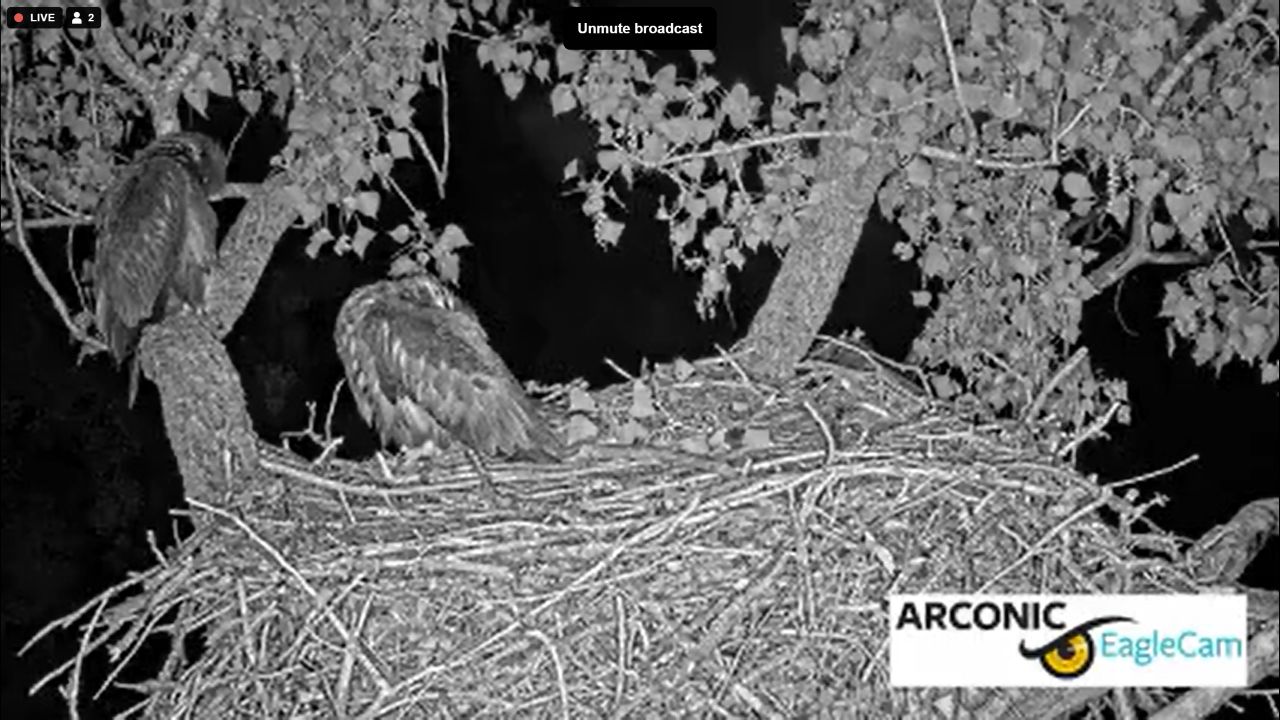 Arconic Eagle Cam – Riverdale, Iowa | Live Video
