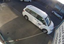 Here Doggy Daycare Live Webcams, San Francisco