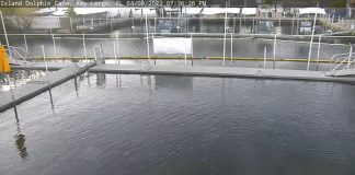 Island Dolphin Care Key Largo Live Webcam