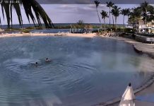 Live Webcam Hawks Cay Resort On Duck Key - Marathon, Fl
