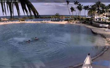 Live Webcam Hawks Cay Resort On Duck Key - Marathon, Fl