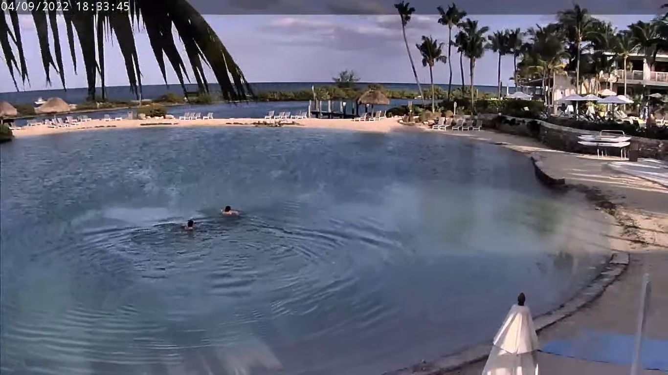 Live Webcam Hawks Cay Resort on Duck Key – Marathon, FL