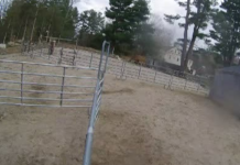 Horse Rescue Sherborn Live Webcam