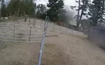 Horse Rescue Sherborn Live Webcam