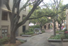 College Of Charleston Live Webcams - South Carolina