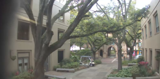 College Of Charleston Live Webcams - South Carolina