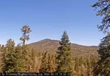 Big Bear Bald Eagle Cam