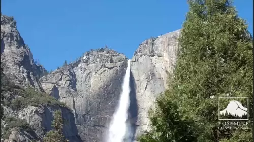 Yosemite National Park Webcams-National Park Webcams Service