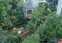 Key West Butterfly & Nature Conservatory
