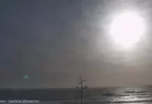 Moonstone Beach Cambria, Ca Live Webcam