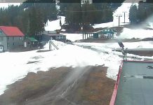 Mt Washington Webcam | Skiing Alpine Resort Bc, Canada