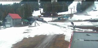 Mt Washington Webcam | Skiing Alpine Resort Bc, Canada