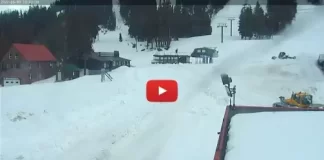 Mt Washington Webcam | Skiing Alpine Resort Bc, Canada