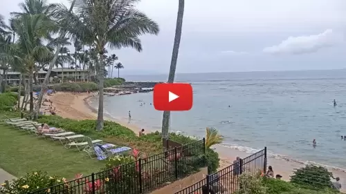 Napili Kai Beach Maui Resort Live Cam New In Hawaii